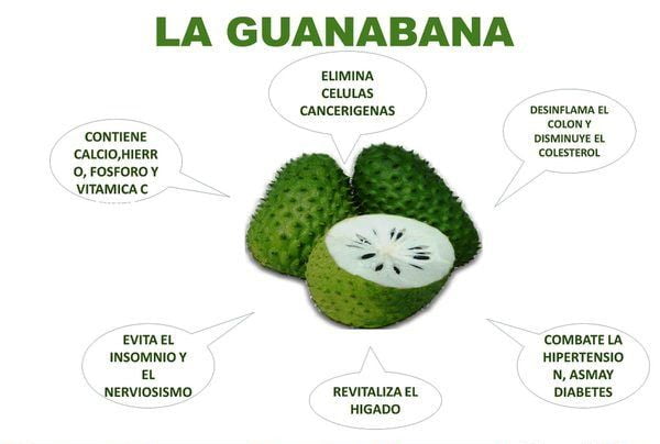 Propiedades Nutritivas Y Medicinales De La Guanábana 8752