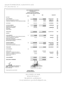 Estados Financieros Año 2022 y 2023 GRUPO EMPRESARIAL SUR ANDINO S.A.S NIT: 901.457.311-6 VIGILADO SUPERSALUD