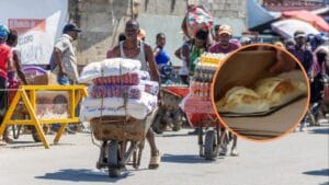 Mujer mata a 40 miembros de banda criminal con empanadas envenenadas: Usó pesticida agrícola el caso se reguistró en Haiti.